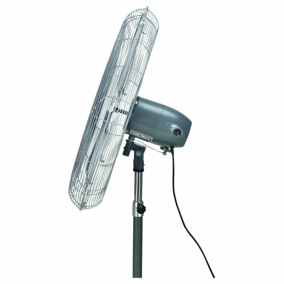 Global Industrial Oscillating Pedestal Fan, 30", 3 Speeds, Gray