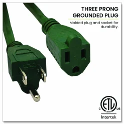 GoGreen Power 16 AWG Outdoor Extension Cord, 80 ft, 10 A, Green