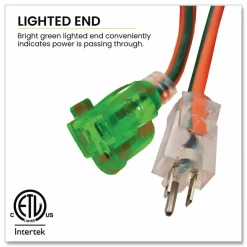 GoGreen Power 16 AWG Outdoor Extension Cord, 25 ft, 13 A, Orange