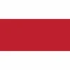 Great Papers! Envelope, Solid, #10 (9.5" x 4.125"), Bright Red, Gummed Adhesive, Printer Compatible, 40 count