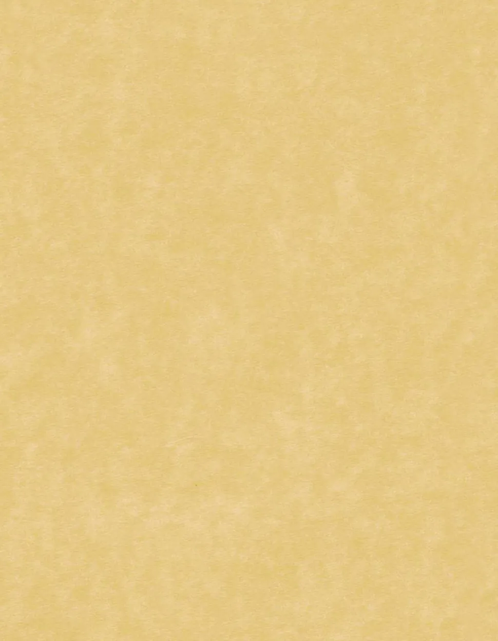 Great Papers! Stationery Letterhead, Pink Orchids, 8.5" x 11", Printer Compatible, 80 sheets