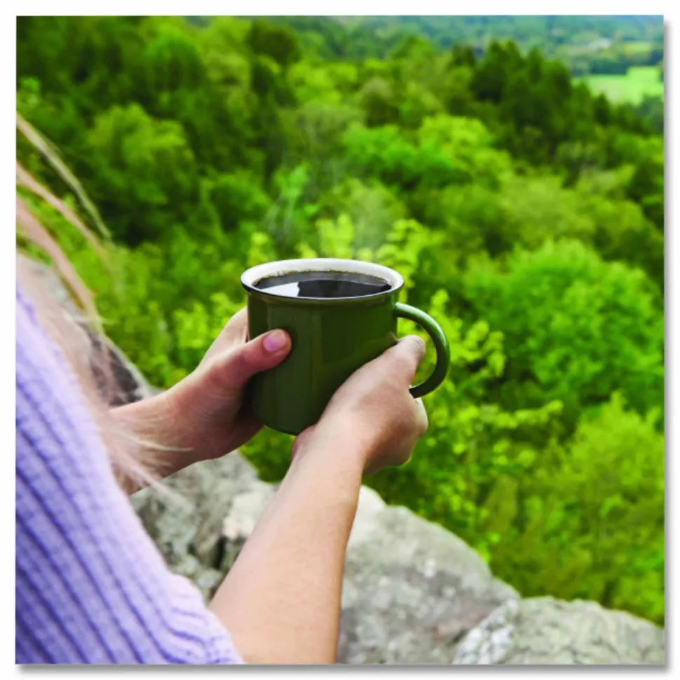 Green Mountain Coffee Fraction Packs, French Roast, Dark Roast, 2.2 oz, 50 Fraction Packs
