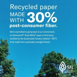 Hammermill Great White 3-Hole-Punched Inkjet Or Laser Paper, 10 Reams, White, Letter Size (8 1/2" x 11"), 5000 Sheets Total, 20 Lb, 92 Brightness