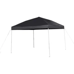 Harris 10'x10' Black Outdoor Pop Up Event Slanted Leg Canopy Tent with Carry Bag
