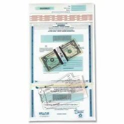Iconex Clear Dual Deposit Bags with Tamper Evident Closure, Plastic, 11