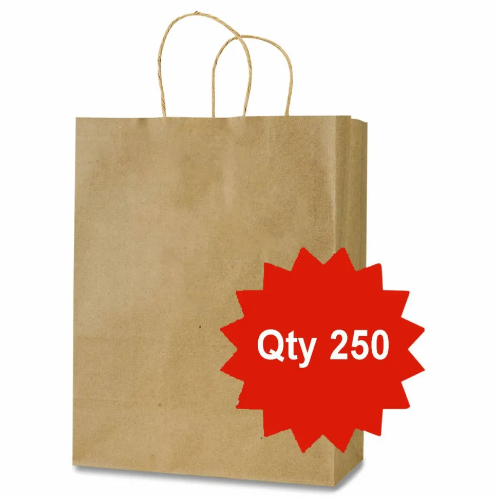 Inteplast Group Get Reddi Paper Bags, Pulse Size, 60# Basis Weight, Twisted Rope Handles, 8 x 4.5 x 10.25, Brown, 250/Carton