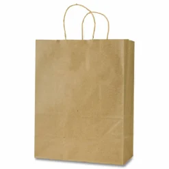 Inteplast Group Get Reddi Paper Bags, Pixie Size, 60# Basis Weight, Twisted Rope Handles, 10" x 5" x 13", Brown, 250/Carton