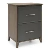 Koru 23-1/2"W x 17-1/2"D Lateral 2-Drawer File Cabinet, Two-Tone Slate/Gray Oak, BIFMA Compliant