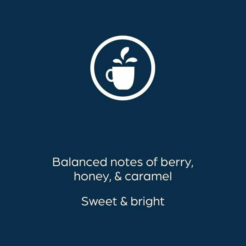 Lavazza Alterra Donut Shop Coffee Freshpacks