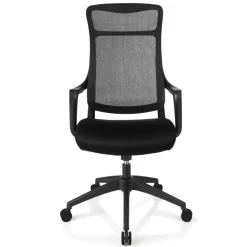 Lenzer Mesh High-Back Task Office Chair, Black, BIFMA Compliant