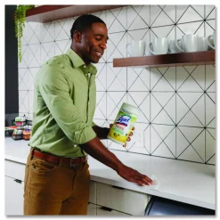 LYSOL Brand Disinfecting Wipes II Fresh Citrus Scent, 1-Ply, 7 x 7.25, Fresh Citrus, White, 70 Wipes/Canister