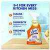 LYSOL Brand Kitchen Pro Antibacterial Cleaner, 22 oz Spray Bottle