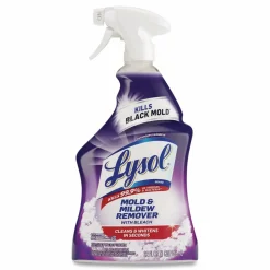 LYSOL Brand Mold and Mildew Remover with Bleach, Ready to Use, Unscented, 32 oz Spray Bottle