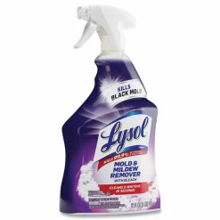 LYSOL Brand Mold and Mildew Remover with Bleach, Ready to Use, Unscented, 32 oz Spray Bottle