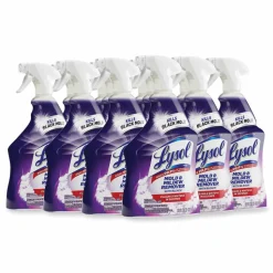 LYSOL Brand Mold and Mildew Remover with Bleach, Ready to Use, Unscented, 32 oz Spray Bottle