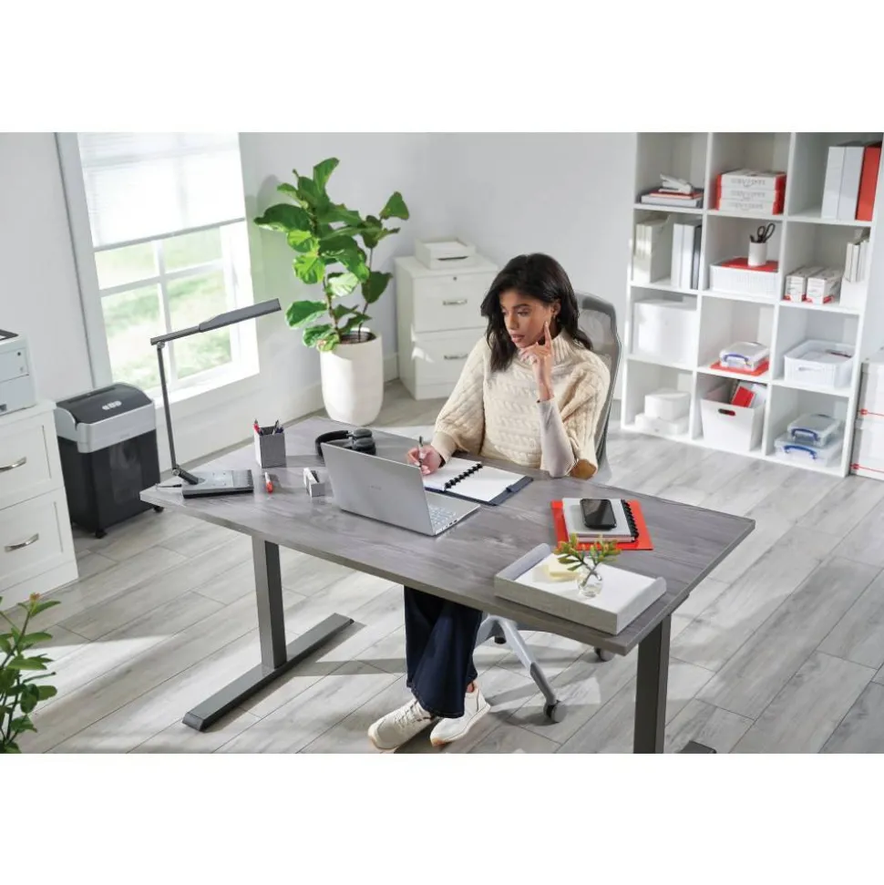 Magellan Performance Electric 60"W Height-Adjustable Standing Desk, Gray, BIFMA Compliant