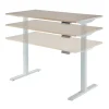 Magellan Performance Electric 60"W Height-Adjustable Standing Desk, Natural Oak, BIFMA Compliant