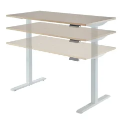 Magellan Performance Electric 60"W Height-Adjustable Standing Desk, Natural Oak, BIFMA Compliant