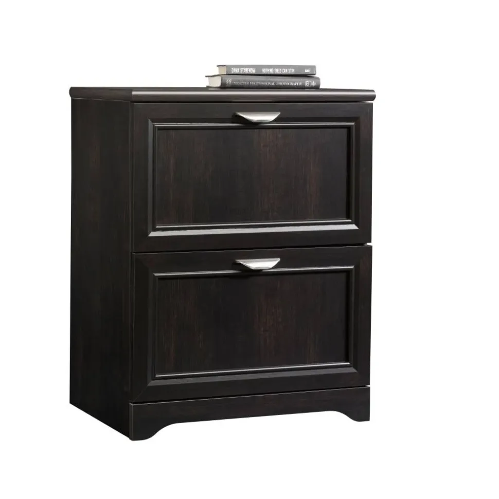 Magellan 23-1/2"W x 16-9/16"D Lateral 2-Drawer File Cabinet, Espresso