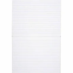 Mead Learn to Letter Primary Journal with Raised Ruling, Manuscript Format, Orange/White/Blue Cover, (40) 10 x 8 Sheets
