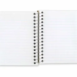 Mead Fat Lil' Wirebound Notebook, 4