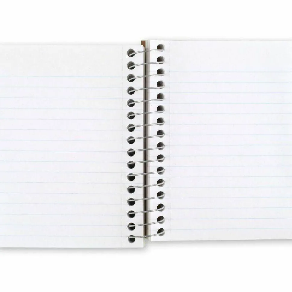 Mead Fat Lil' Wirebound Notebook, 4" x 5 1/2", 200 Sheets, Assorted Colors