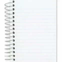 Mead Fat Lil' Wirebound Notebook, 4