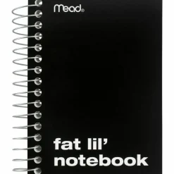 Mead Fat Lil' Wirebound Notebook, 4