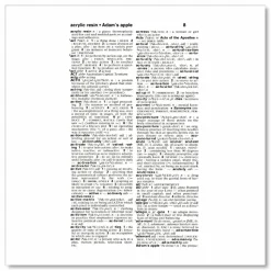 Merriam Webster Merriam-Webster Dictionary, Revised Edition, Paperback, 960 Pages