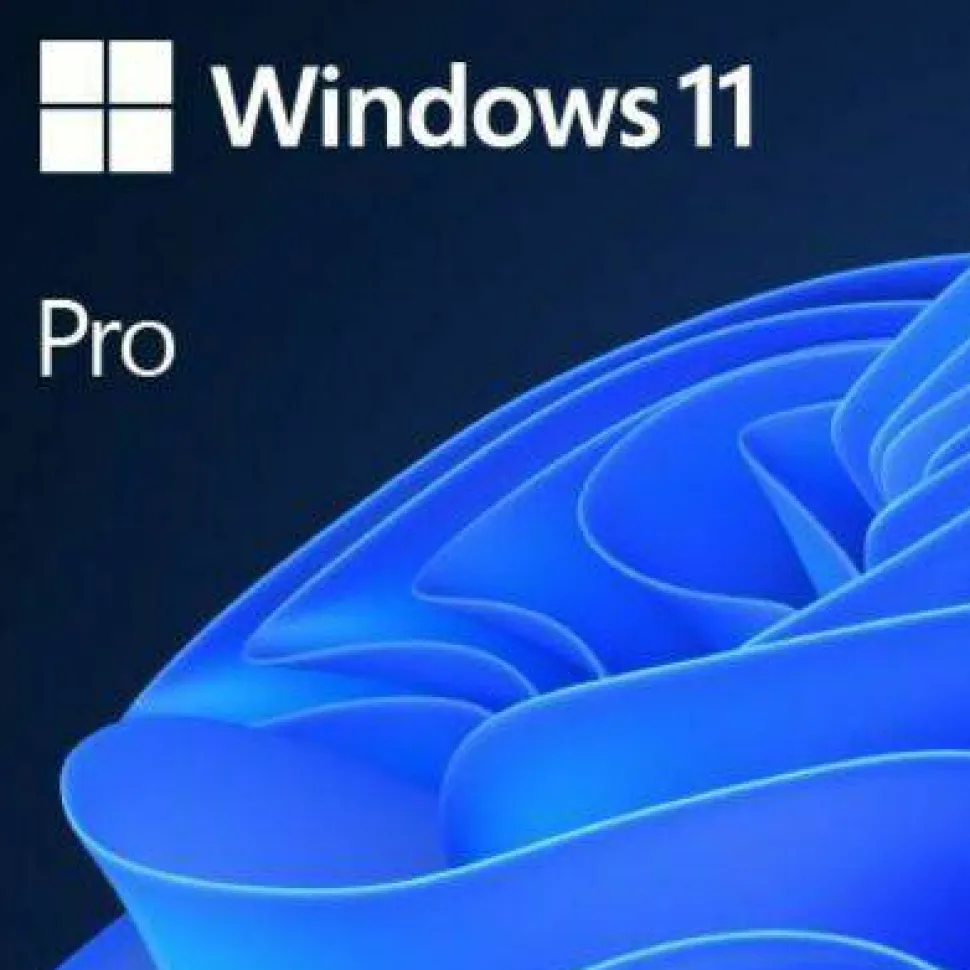 Microsoft Windows 11 Pro 64-bit - Box Pack - 1 License