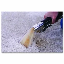 Mi-T-M ChoreMaster 3-Gallon Spot Extracator, 3 gal Capacity, 20 ft Cord