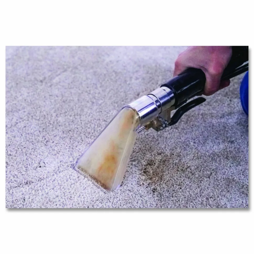 Mi-T-M ChoreMaster 3-Gallon Spot Extracator, 3 gal Capacity, 20 ft Cord
