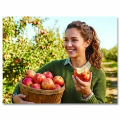 National Brand Fresh Gala Apples, 8/Carton