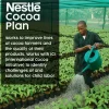 Nestle Dark Chocolate Single-Serve Hot Cocoa Mix