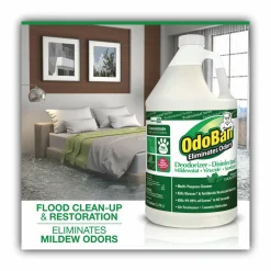 OdoBan Multi-Purpose Deodorizer & Disinfectant Concentrate, Eucalyptus Scent, 128 Oz Bottle
