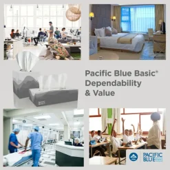 Pacific Blue Basic 2-Ply Facial Tissue, Flat Box, White, 100% Recycled Fiber, 30 Boxes Per Case, 100 Sheets Per Box