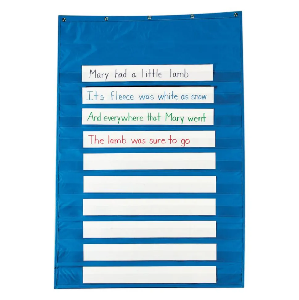 Pacon Standard Pocket Chart, 34" x 50", Blue