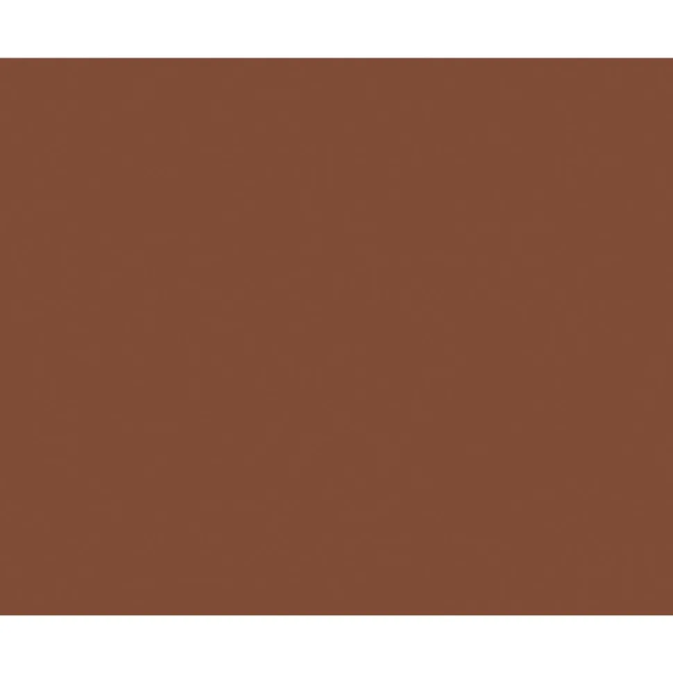 Pacon Peacock 100% Recycled Railroad Board, 22" x 28", 4-Ply, Brown, Pack Of 25 Sheets