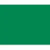 Pacon Peacock 100% Recycled Railroad Board, 22" x 28", 4-Ply, Holiday Green, Carton Of 25 Sheets
