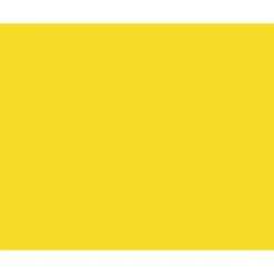 Pacon Peacock 100% Recycled Railroad Board, 22" x 28", 4-Ply, Lemon Yellow, Carton Of 25 Sheets