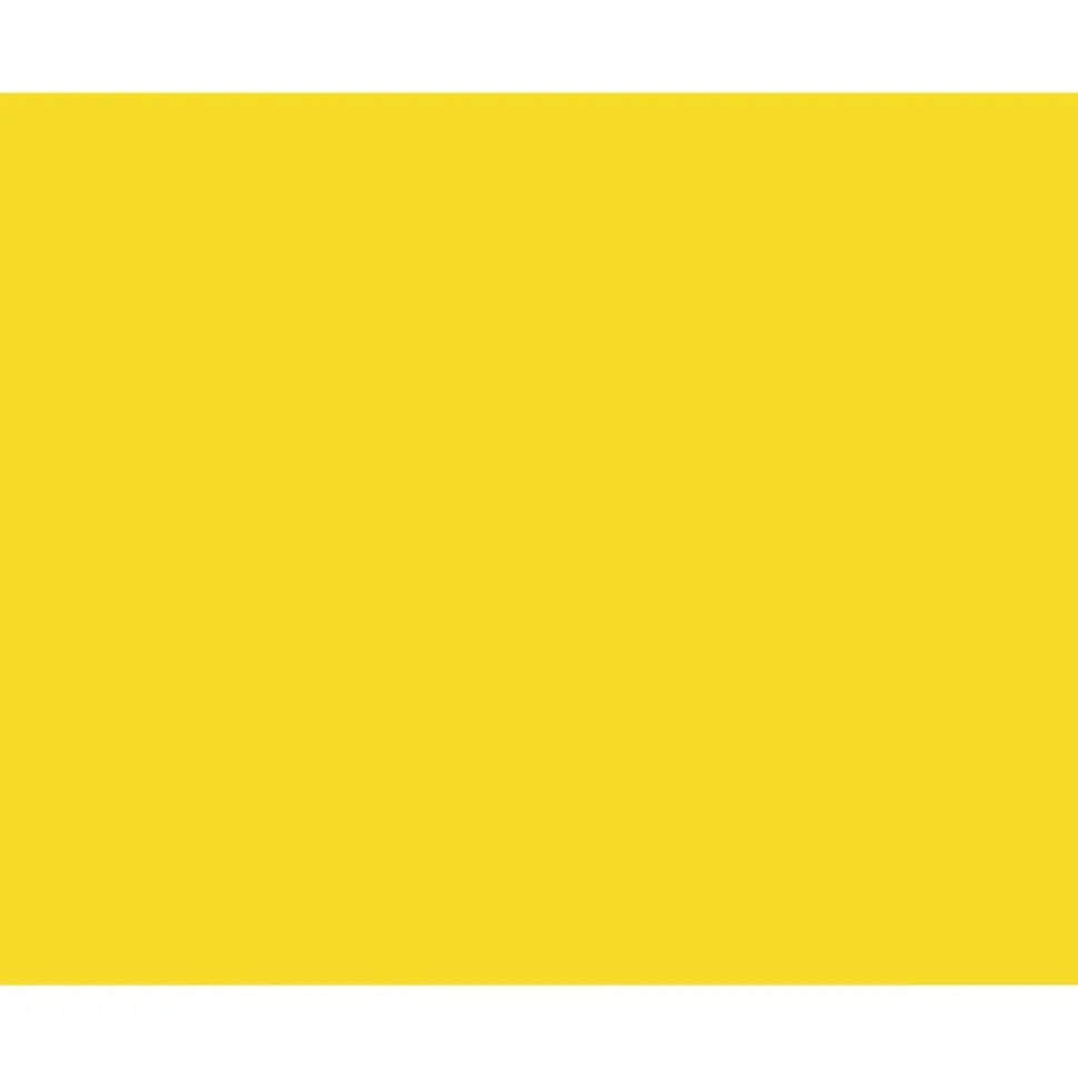 Pacon Peacock 100% Recycled Railroad Board, 22" x 28", 4-Ply, Lemon Yellow, Carton Of 25 Sheets