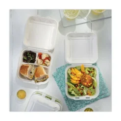Pactiv Evergreen EarthChoice Bagasse Hinged Lid Containers, 2-13/16”H x 7-13/16”W x 7-13/16”D, Natural, Case Of 150 Containers
