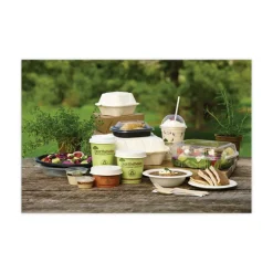 Pactiv Evergreen EarthChoice Bagasse Hinged Lid Containers, 2-13/16”H x 7-13/16”W x 7-13/16”D, Natural, Case Of 150 Containers