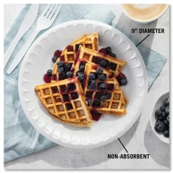 Pactiv Evergreen Placesetter Satin Non-Laminated Foam Dinnerware, Plate, 9" dia, White, 125/Pack, 4 Packs/Carton