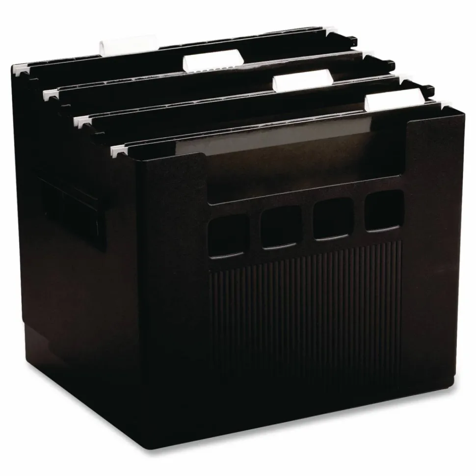 Pendaflex Super Decoflex 4-Storage File Folders, 11" x 12 3/4" x 10", Black