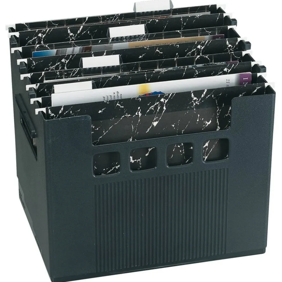 Pendaflex Super Decoflex 4-Storage File Folders, 11" x 12 3/4" x 10", Black
