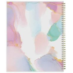 Planning Calendar AG Multi Color Smoke PP 8.5x11 AY26–27, 2026 to 2027 Calendar