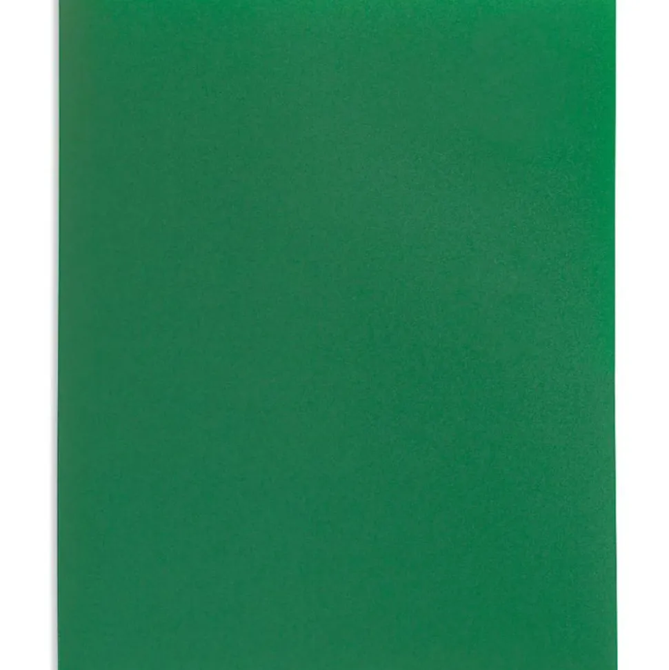 2-Pocket Poly Folders, Letter Size, Assorted Colors, Pack Of 10