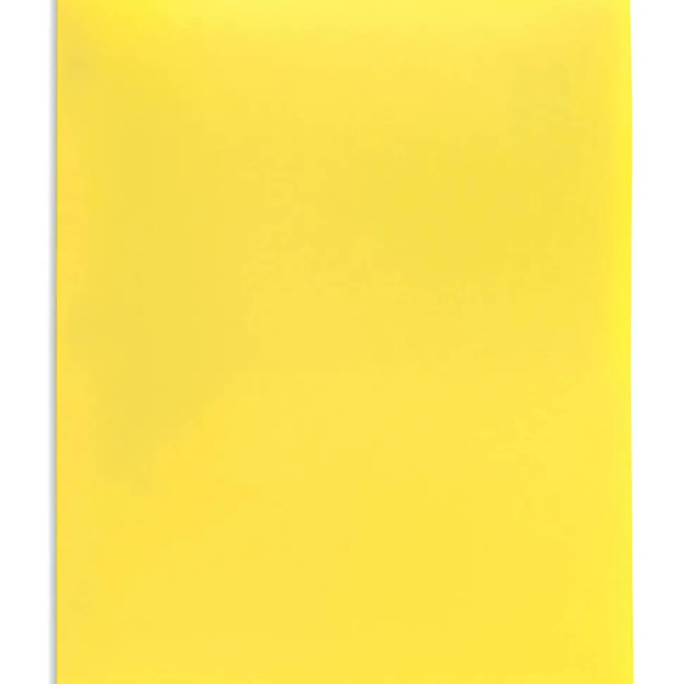2-Pocket Poly Folders, Letter Size, Assorted Colors, Pack Of 10