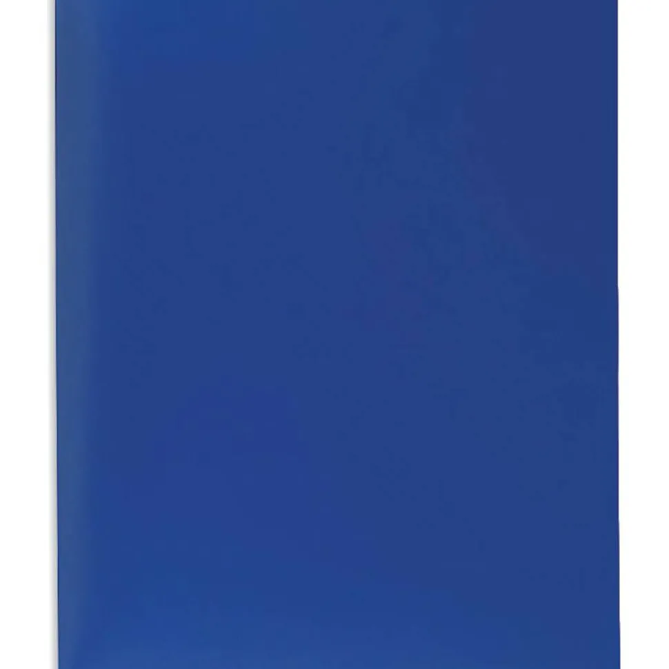 2-Pocket Poly Folders, Letter Size, Assorted Colors, Pack Of 10